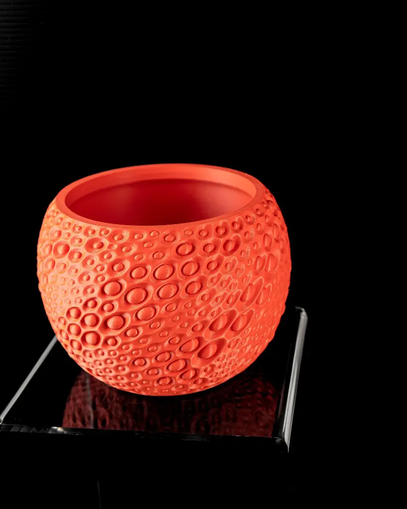 DSC05917.webp