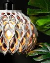 DSC00181-1.webp