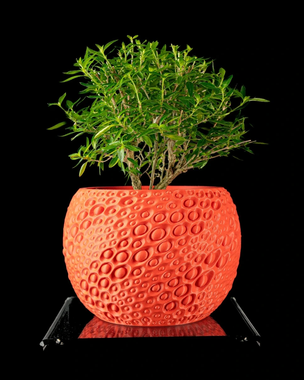 Pearl Plant Pot